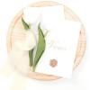 imageSocomi Dark Green Handmade Fringe Chiffon Silk Ribbon 134quot x 7Yd 4 Rolls Frayed Ribbons for Wedding Invitations Bridal Bouquets WrappingCream